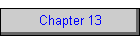 Chapter 13