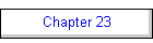 Chapter 23