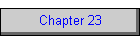 Chapter 23